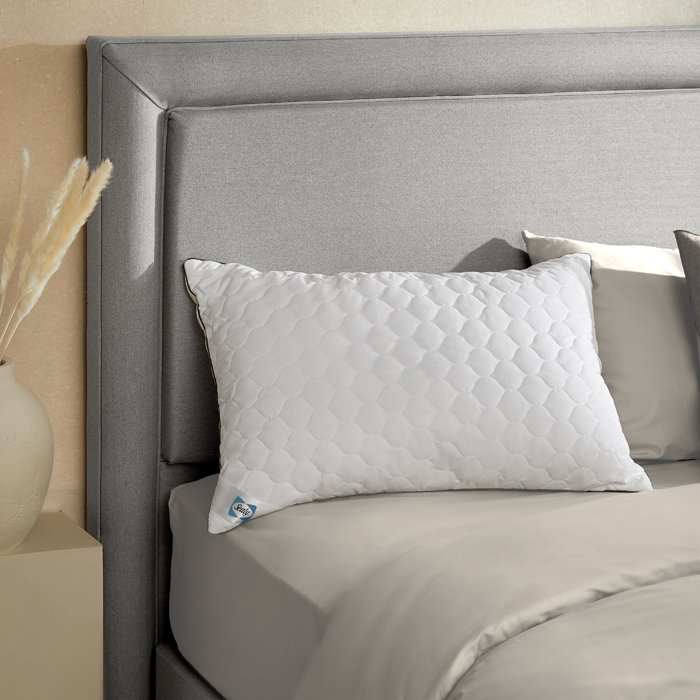 Sealy UK Sealy Deeply Full Pillow & Reviews Wayfair.co.uk